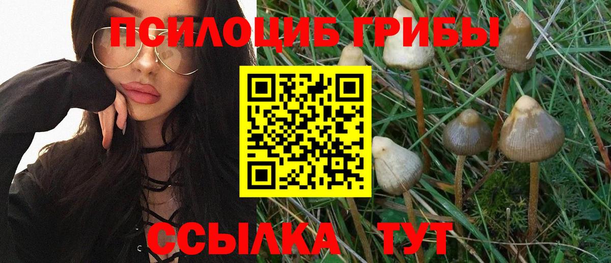 Псилоцибиновые грибы Magic Shrooms  Вход с VPN  Карпинск 